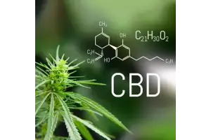 Что чувствует человек после приема CBD: преимущества и побочные эффекты